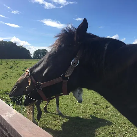 3 Bed By Trident Homes בית נופש